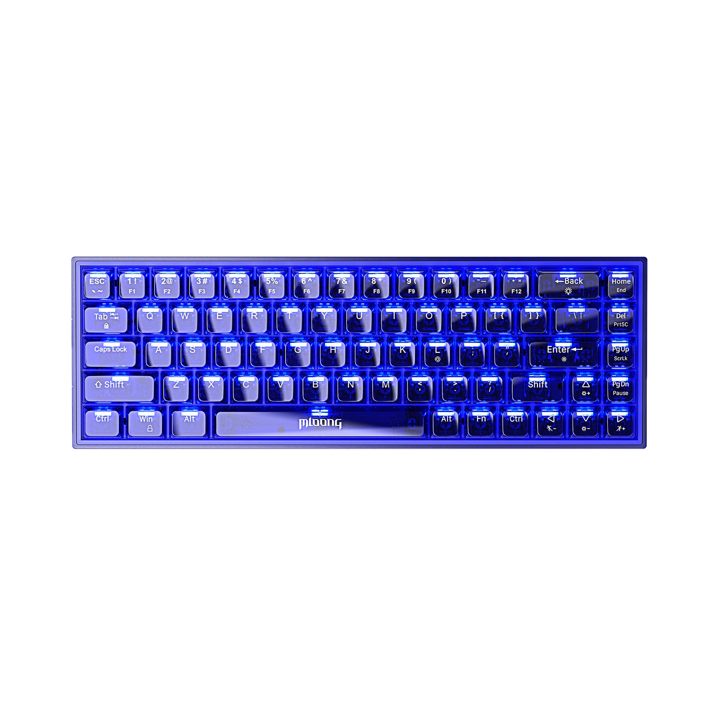Mloong PC transparent key cap 68 key Mechanical Gaming Keyboard with ADJUSTABLE KEYBOARD BACKLIGHT - FLASH BLUE Switches for a Premium Typing and Gaming Experience on PC and Mac