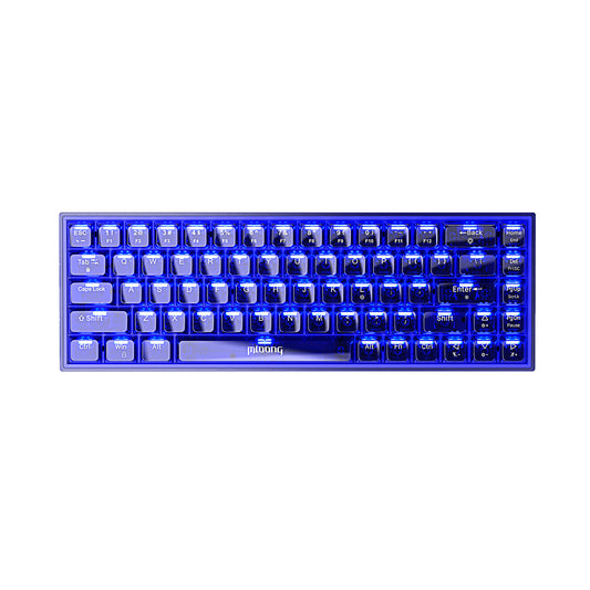 Mloong PC transparent key cap 68 key Mechanical Gaming Keyboard with ADJUSTABLE KEYBOARD BACKLIGHT - FLASH BLUE Switches for a Premium Typing and Gaming Experience on PC and Mac